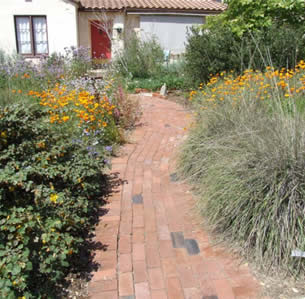 Gold Native Garden