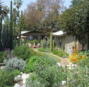 Variety Garden