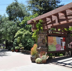 Descanso Gardens