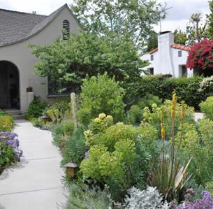 Euphorbia Garden