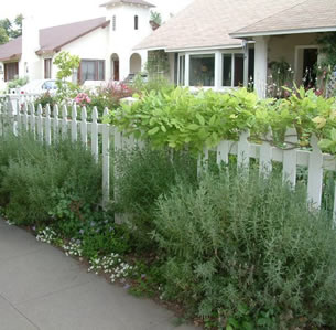Fences