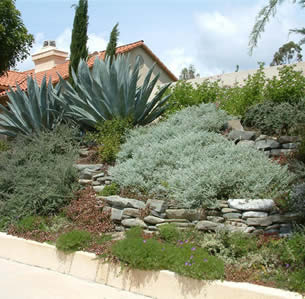Hillsides