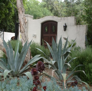 Mediterranean Gardens