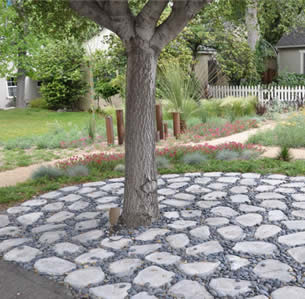 Circle Rock Garden