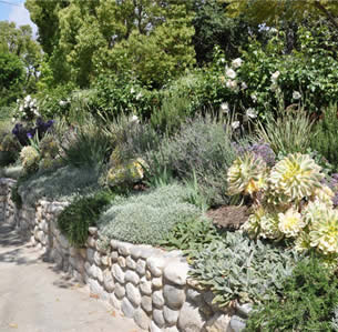 Raised Planters