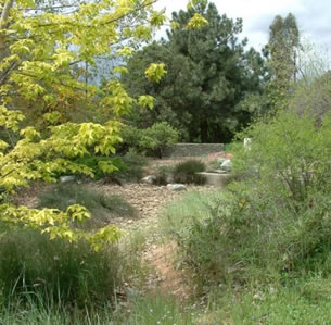 Rancho Santa Ana Botanic Garden