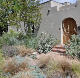 Cal Southwest Garden