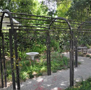 Tranquility Garden
